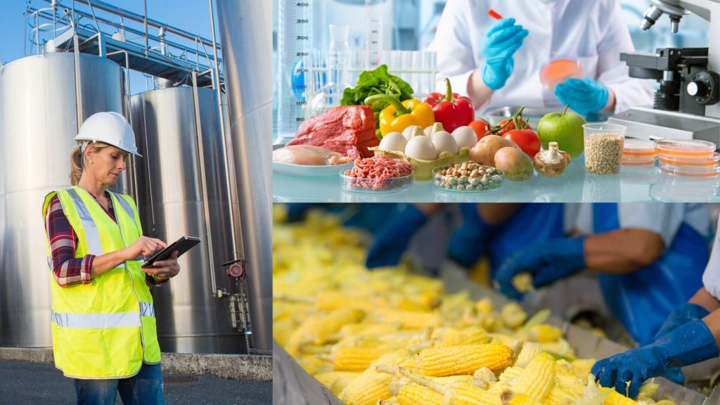 Alt, SIX SIGMA SECTOR PRODUCCIÓN DE ALIMENTOS