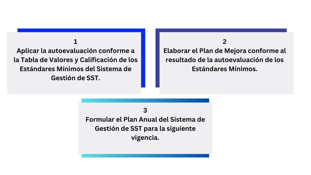 Autoevaluacion De Estandares Minimos Sg Sst 2194