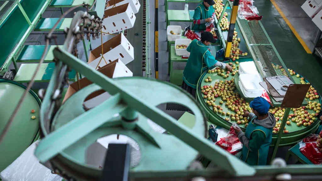 Implementación del SGC en una empresa del sector de alimentos en Colombia 1 empresa sector alimentos colombia