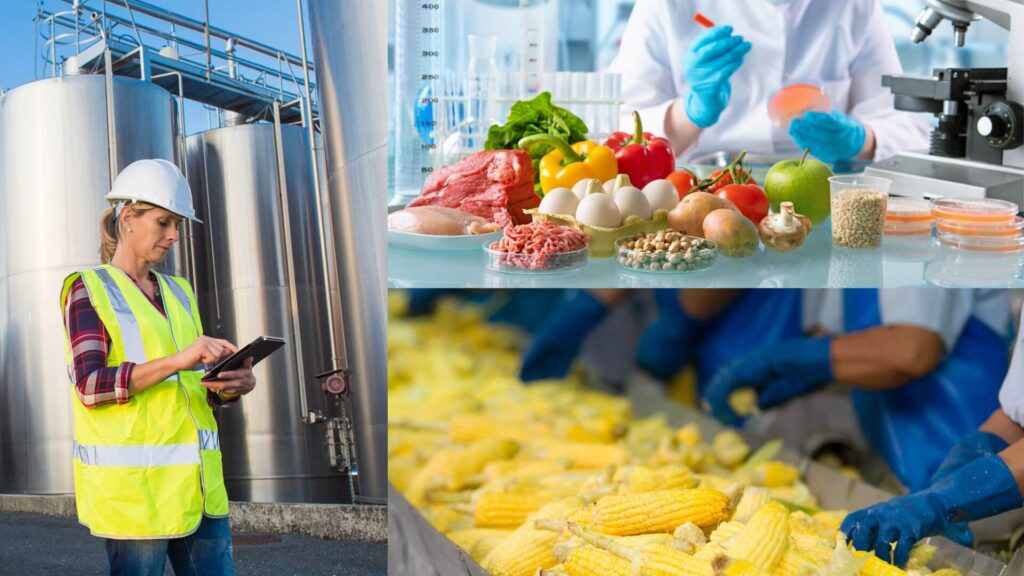 Six Sigma / Sector de producción de alimentos 10 Untitled design 19 1