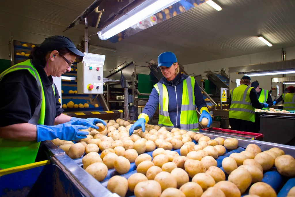 Desafíos y oportunidades: un análisis del sector agroalimentario colombiano 1 Alt, ssector de alimentos en Colombia industria alimentaria